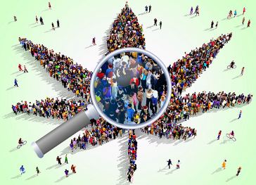 How to Find a Marijuana Job