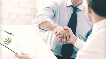 marijuana sales rep jobs