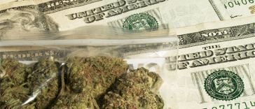 Average Salaries for Marijuana Jobs