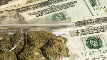 Average Salaries for Marijuana Jobs