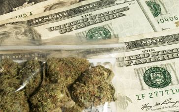 Average Salaries for Marijuana Jobs
