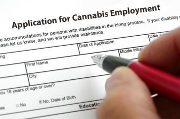 How to Apply for Marijuana Jobs