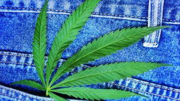 Marijuana Employment