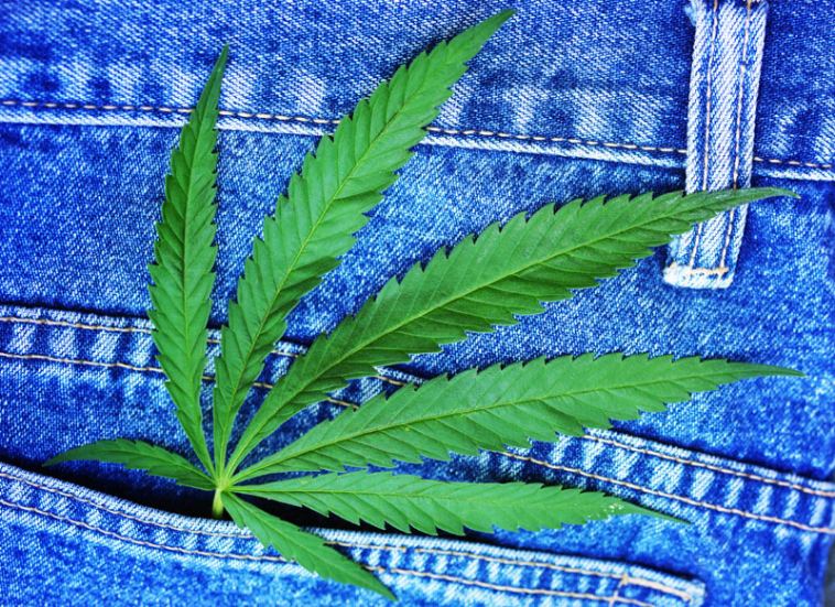 Marijuana Employment