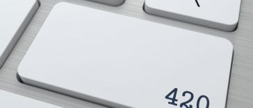 Marijuana Web Developer Jobs