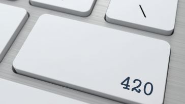 Marijuana Web Developer Jobs