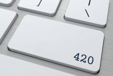 Marijuana Web Developer Jobs