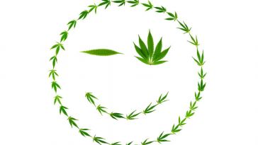 Top 10 Marijuana Jobs