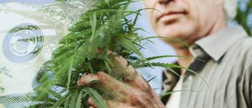 how much do master growers make