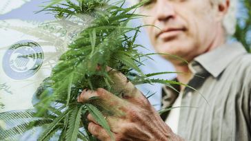 how much do master growers make