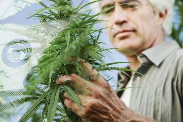 how much do master growers make