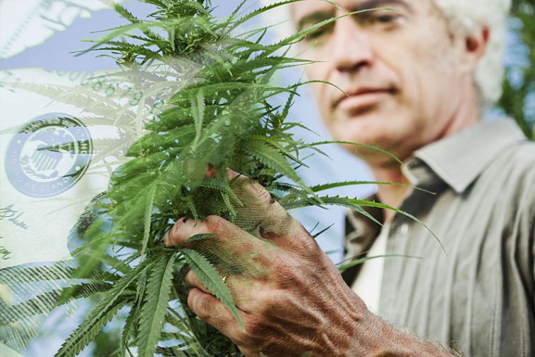 how much do master growers make