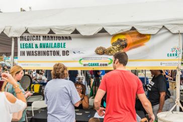 Marijuana Lobbyist Jobs