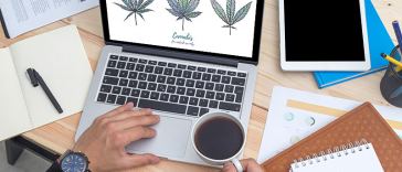 marijuana writing jobs