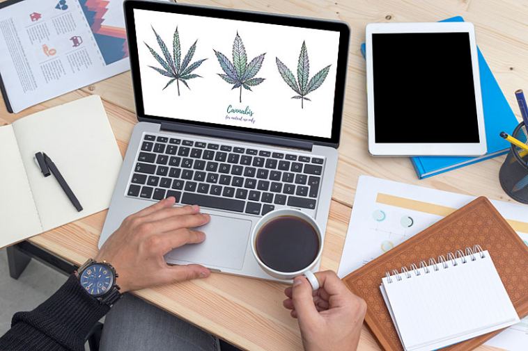 marijuana writing jobs