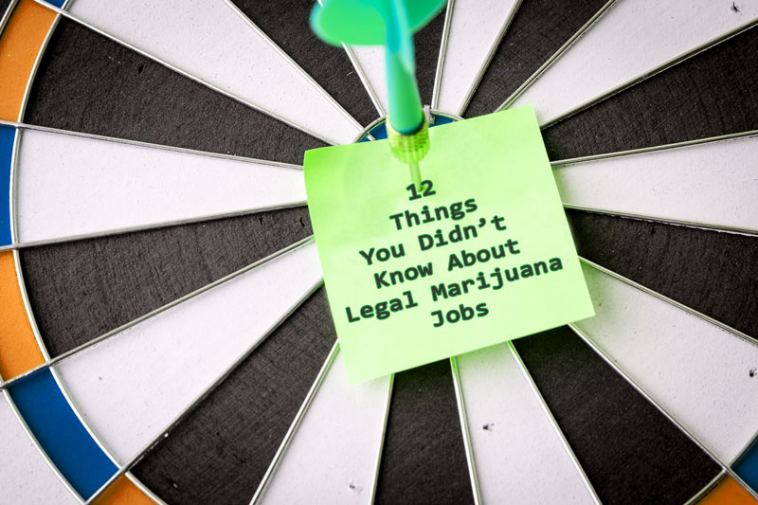 12 Things You Didn’t Know About Legal Marijuana Jobs