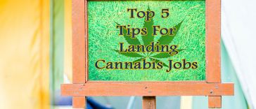 Top 5 Tips for Landing Cannabis Jobs