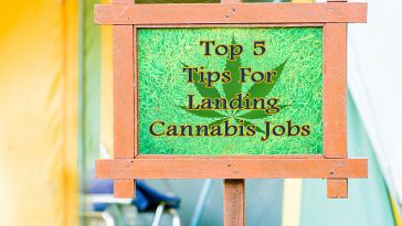 Top 5 Tips for Landing Cannabis Jobs