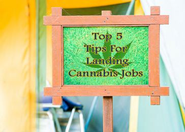 Top 5 Tips for Landing Cannabis Jobs