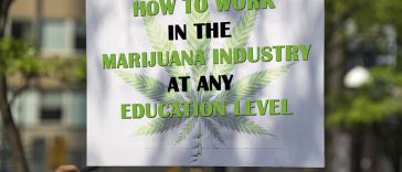 How to Work in the Cannabusiness at Any Education Level