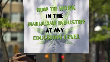 How to Work in the Cannabusiness at Any Education Level