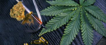 marijuana lab testing jobs