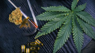 marijuana lab testing jobs