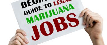 legal marijuana jobs