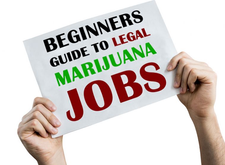 legal marijuana jobs