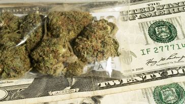 High Paying Jobs In the Marijuana Industry