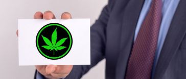 cannabis networking events 2020