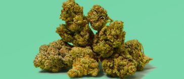 the-best-strains-of-all-time,-according-to-experts