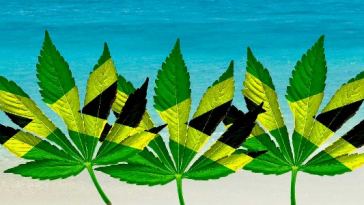 is-weed-legal-in-jamaica?