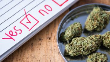 election-day-stress?-chill-with-these-5-dank-strains