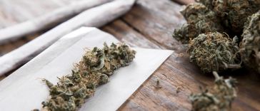 can-six-year-old-weed-still-get-you-high?