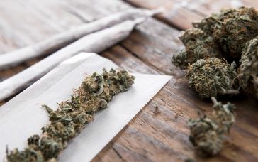 can-six-year-old-weed-still-get-you-high?