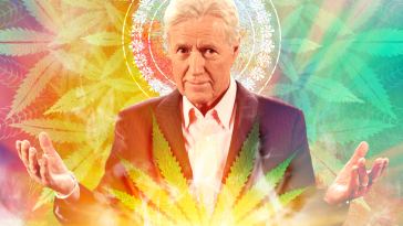 this-is-strain-jeopardy-–-a-tribute-to-alex-trebek