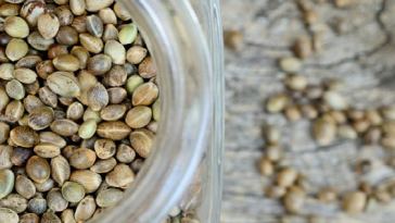 how-much-do-weed-seeds-cost?