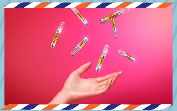 how-to-pair-select-cannabis-products-with-your-favorite-holiday-traditions