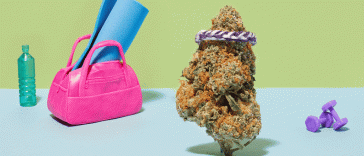 5-of-the-top-strains-for-5-new-year’s-resolutions