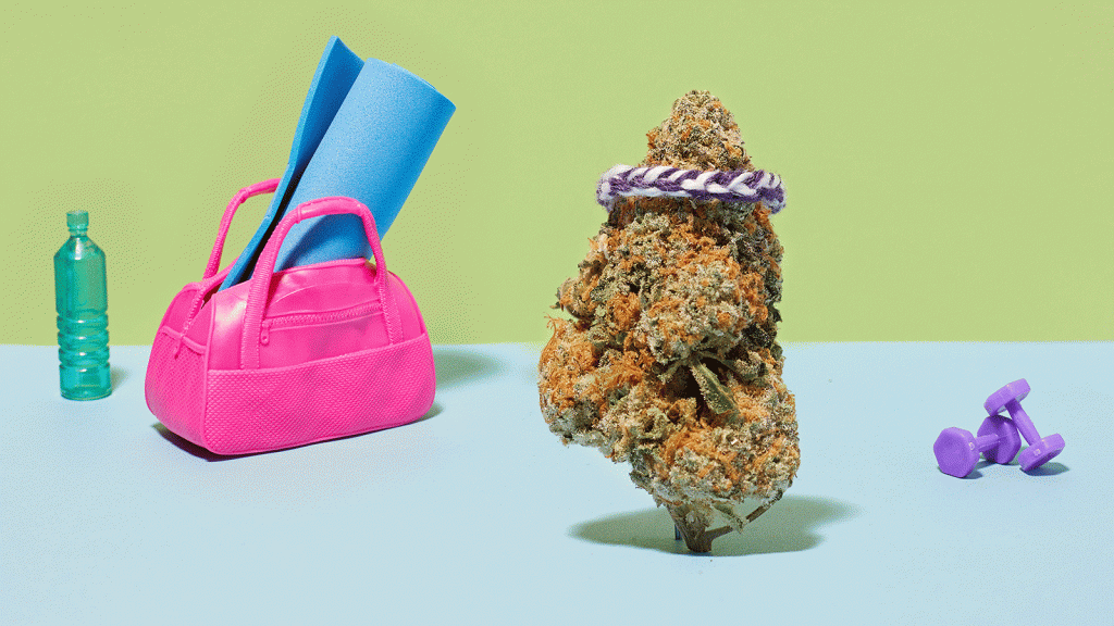 5-of-the-top-strains-for-5-new-year’s-resolutions
