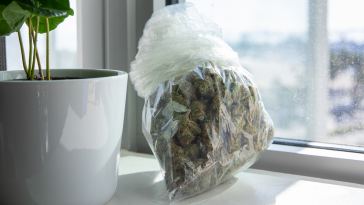 what-is-a-“zip”-of-weed?