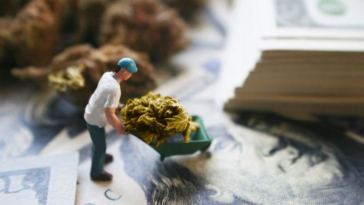 budget weed spending