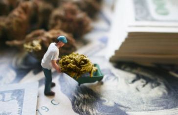 budget weed spending