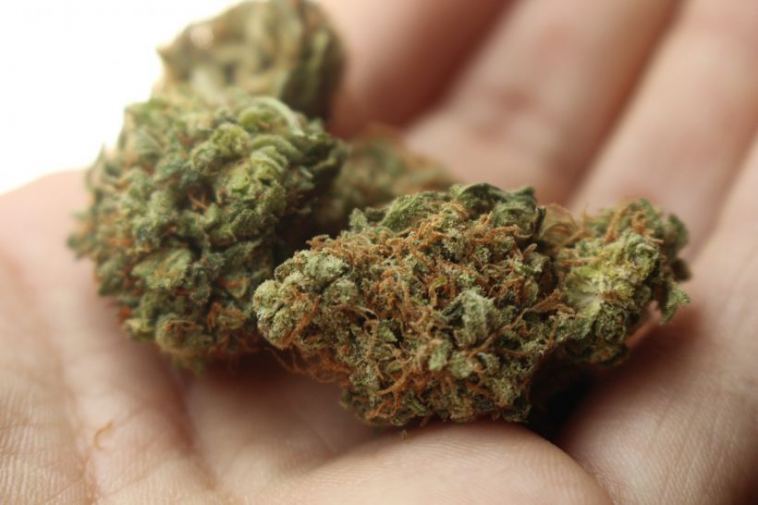 weed in hand