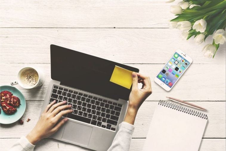 work from home cannabis jobs