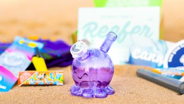 everything-you-need-to-know-about-a-cannabox-subscription-box