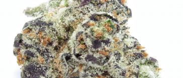 leafly-buzz:-12-fire-cannabis-strains-of-february-2021