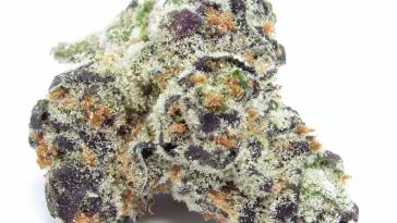 leafly-buzz:-12-fire-cannabis-strains-of-february-2021