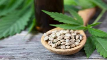 best-feminized-seed-variety-packs